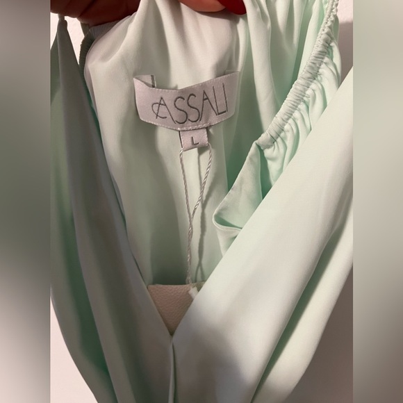Assali Lavinia x REVOLVE Sleeveless Bow Mint Green V-Neck Mini Dress Large NWT - Picture 6 of 8